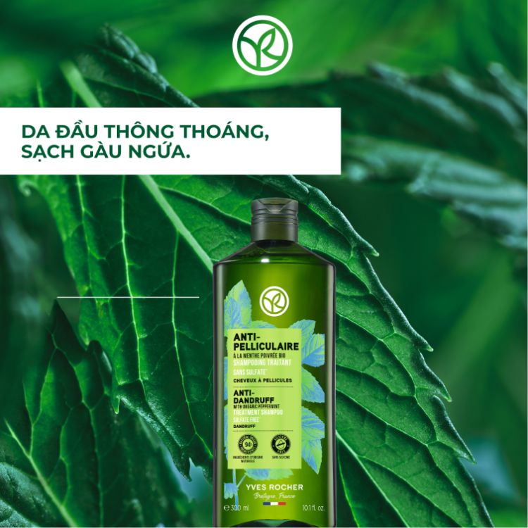 Anti-Dandruff