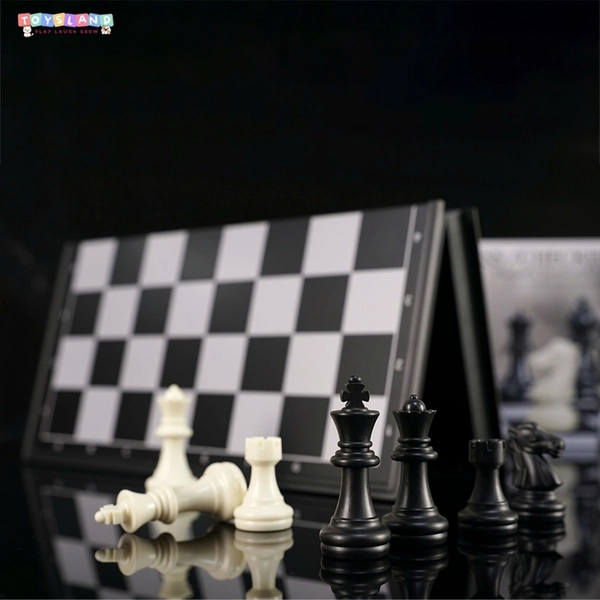 Bộ cờ vua và cờ vây 2 in 1 tiện lợi, có sẵn tại Toysland