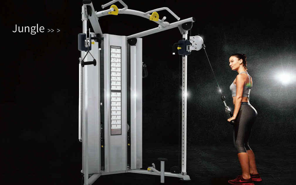Một số máy thường sử dụng trong phòng Gym Impluse