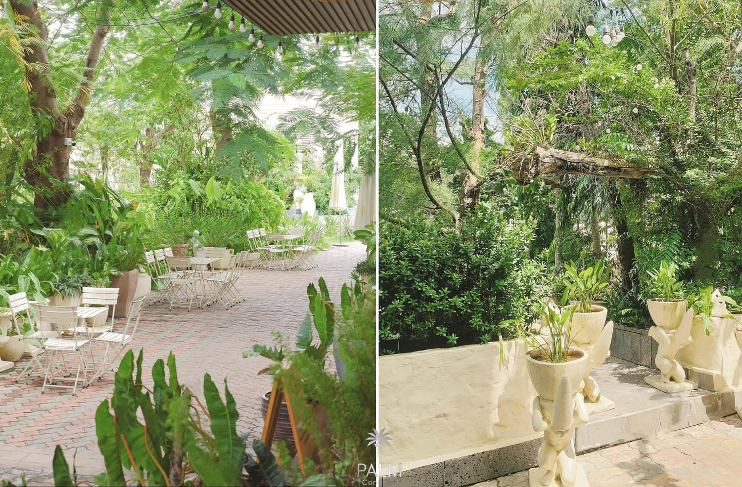 Kết hợp các loài cây khác nhau để làm nổi bật lên công năng và thẩm mỹ của phong cách Địa Trung Hải