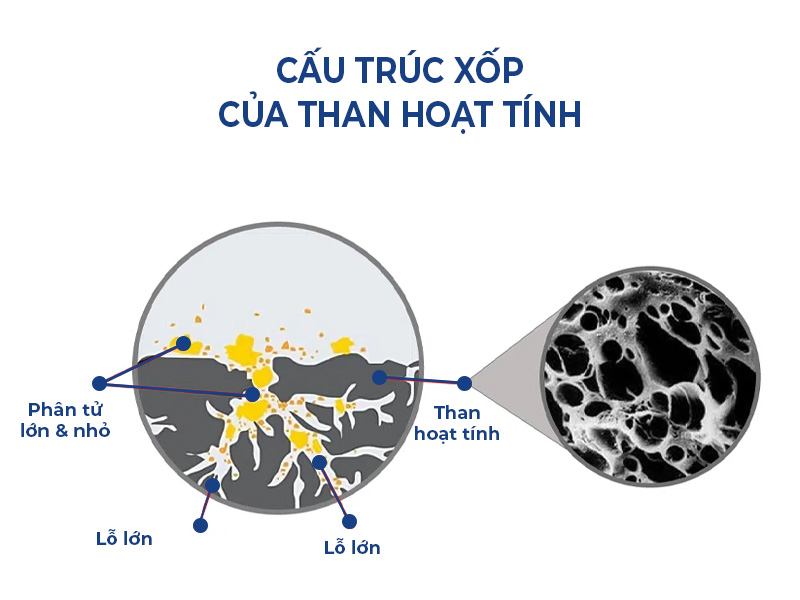 Cấu trúc xốp của than hoạt tính với diện tích bề mặt lớn, hấp phụ tạp chất hiệu quả