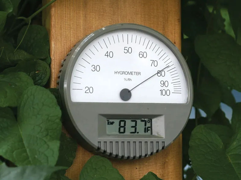 Độ ẩm bao nhiêu là tốt cho sức khỏe? Giải pháp duy trì độ ẩm lý tưởng