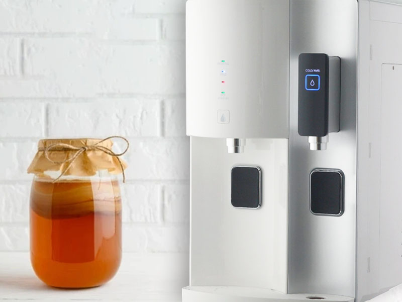 Ly trà Kombucha - Thức uống lên men tốt cho hệ tiêu hóa