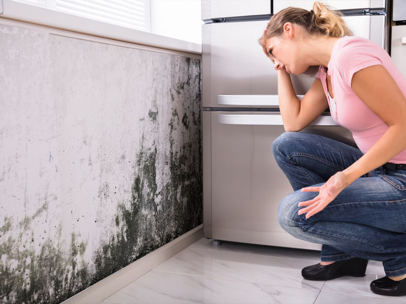 Tác hại của độ ẩm cao: Nấm mốc phát triển, ảnh hưởng hô hấp, hư hỏng đồ đạc