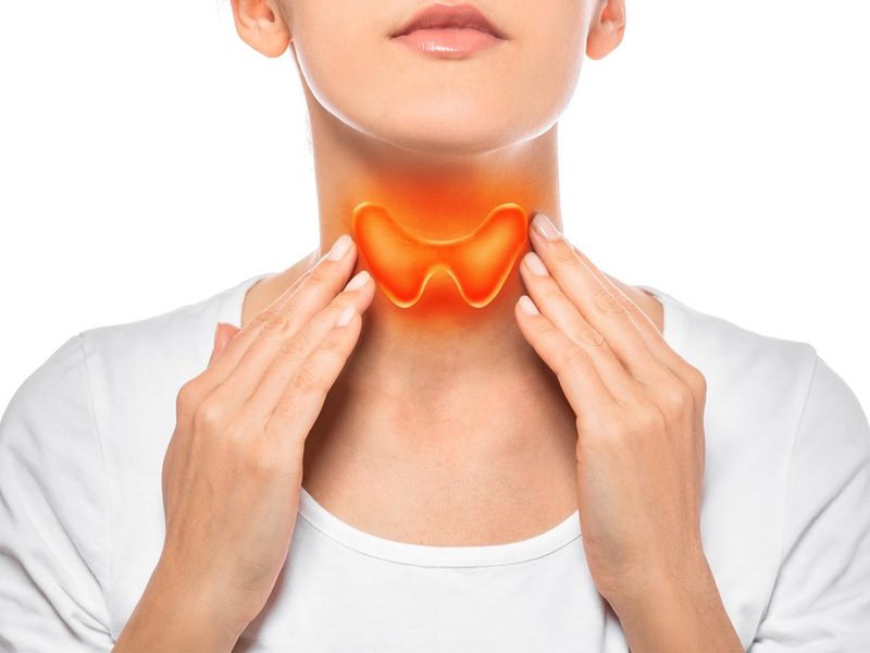 Tuyến giáp là một bộ phận quan trọng, ảnh hưởng lớn đến sức khỏe tổng thể. Chế độ dinh dưỡng, đặc biệt là thức uống, đóng vai trò quan trọng trong việc hỗ trợ chức năng tuyến giáp