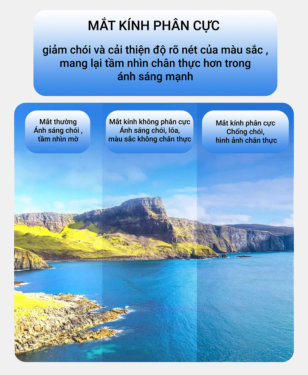 kinh 1 404ff961 58c6 41f1 8779 1d1acfb47419