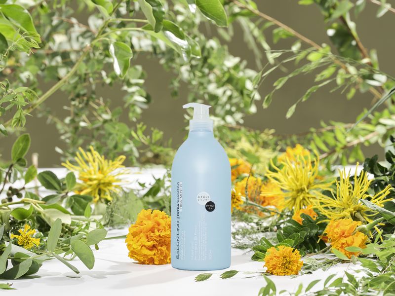 Đối tượng sử dụng dầu gội Salonlink Extra Treatment siêu dưỡng