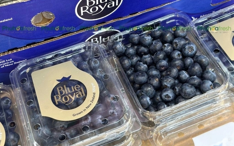 Khi được sử dụng với khẩu phần hợp lý, việt quất không chỉ góp phần bảo vệ tế bào thận, mà còn hỗ trợ xây dựng chế độ ăn lành mạnh cho thận lâu dài và bền vững.@phuhoafresh.com