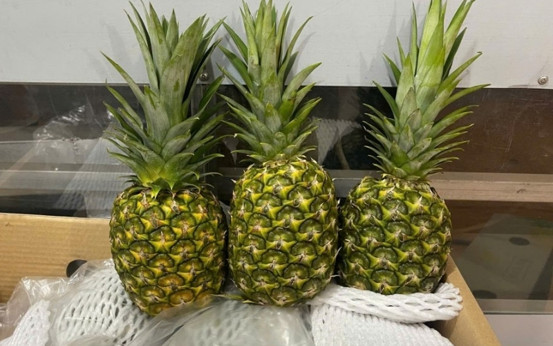 Khi hệ tiêu hóa hoạt động trơn tru, lượng chất chuyển hóa cần đào thải qua thận cũng được điều hòa tốt hơn, góp phần hỗ trợ duy trì sức khỏe thận lâu dài một cách tự nhiên và bền vững.@internet