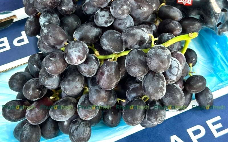 Nho và việt quất thuộc nhóm trái cây giàu polyphenol và chất chống oxy hóa, có vai trò hỗ trợ chức năng gan