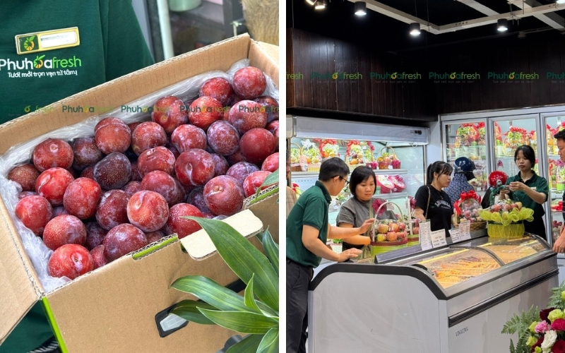 Phuhoa Fresh mang đến cho người tiêu dùng các loại trái cây nhập khẩu chất lượng ổn định