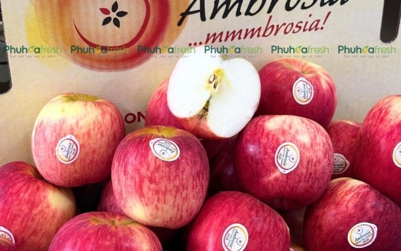 Táo được xem là một trong những trái cây tốt cho thận nhờ hàm lượng pectin dồi dào