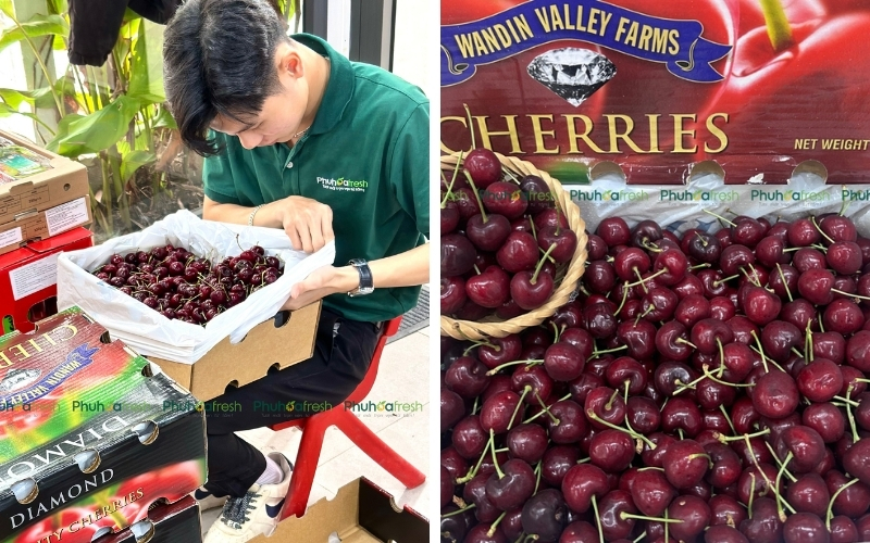 Trong bối cảnh người tiêu dùng ngày càng quan tâm đến sức khỏe và an toàn thực phẩm, giỏ trái cây nhập khẩu được xem là lựa chọn quà Tết cân bằng giữa giá trị sử dụng và thông điệp xã hội.