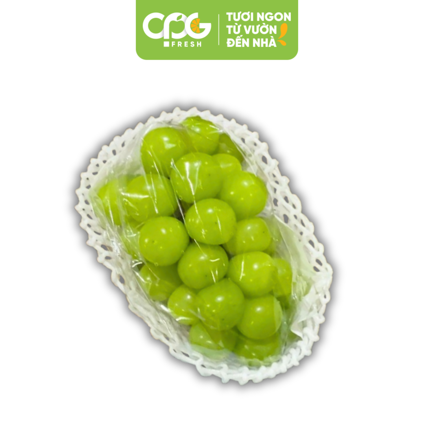 Nho xanh không hạt Shine Muscat Hàn Quốc (Size 25-30mm)