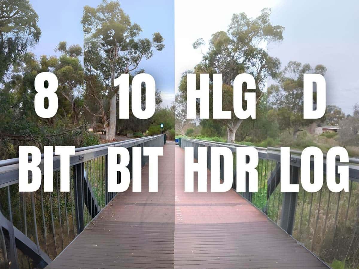 Chất lượng hình ảnh tốt trong mọi điều kiện của Action 5 Pro