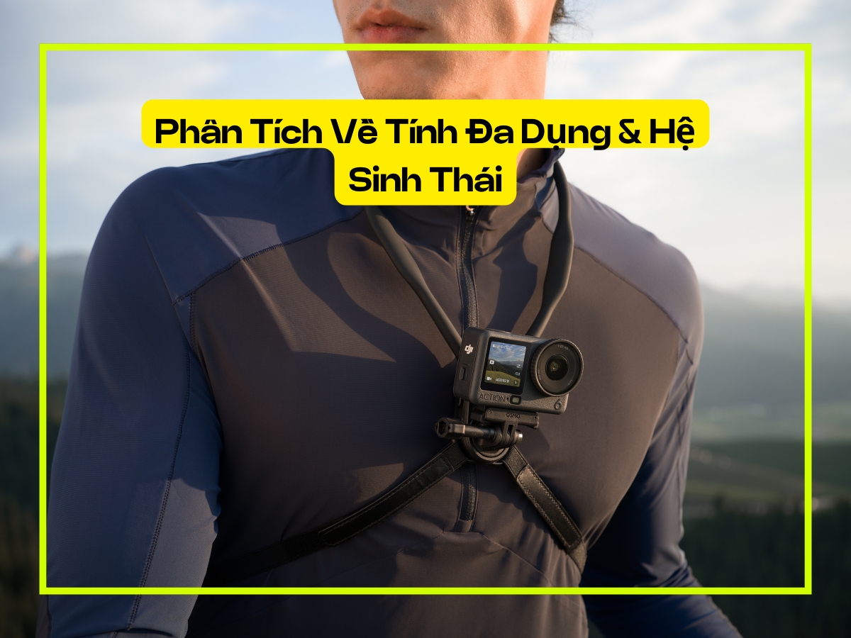 Hệ sinh thái phụ kiện DJI Osmo Action 6