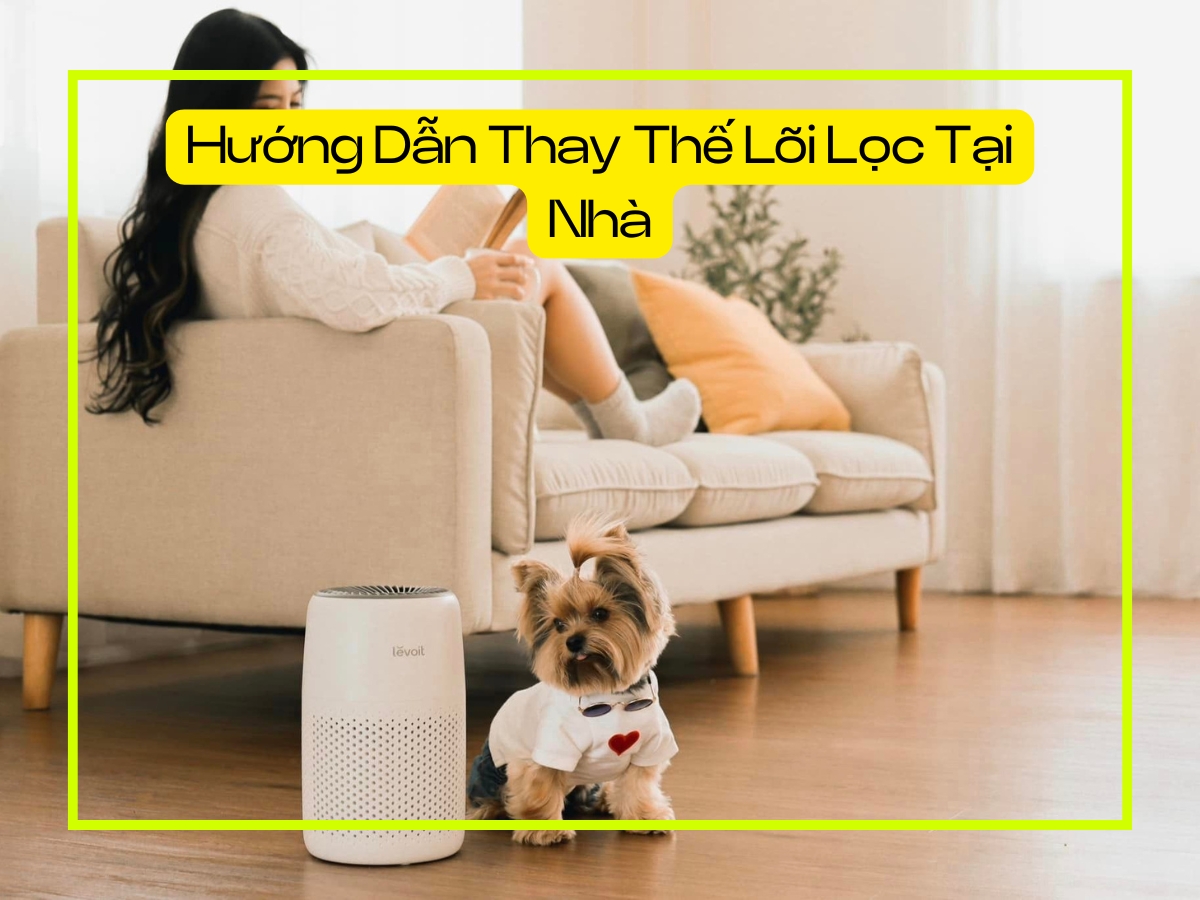 Hướng dẫn thay lõi lọc Levoit Core Mini tại nhà