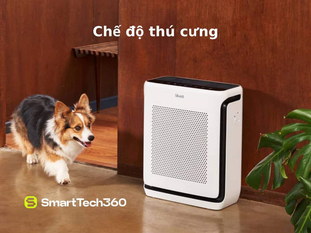 levoit vital 200s che do thu cung