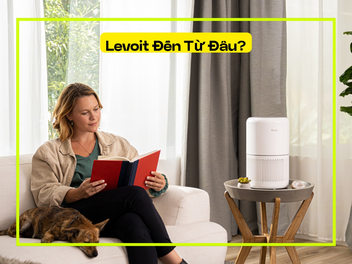 Thương hiệu máy lọc không khí Levoit đến từ đâu
