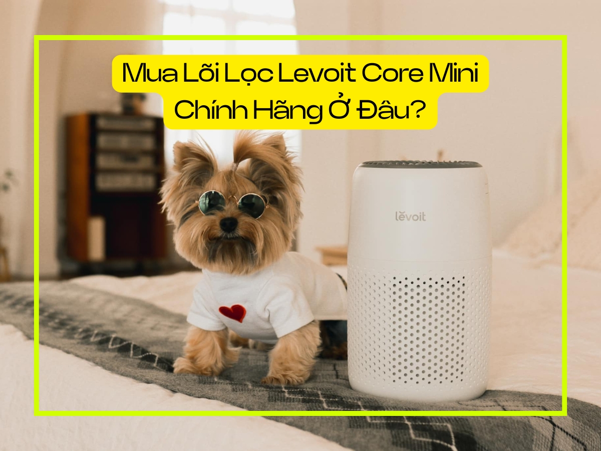 Mua lõi lọc Levoit Core Mini chính hãng ở đâu