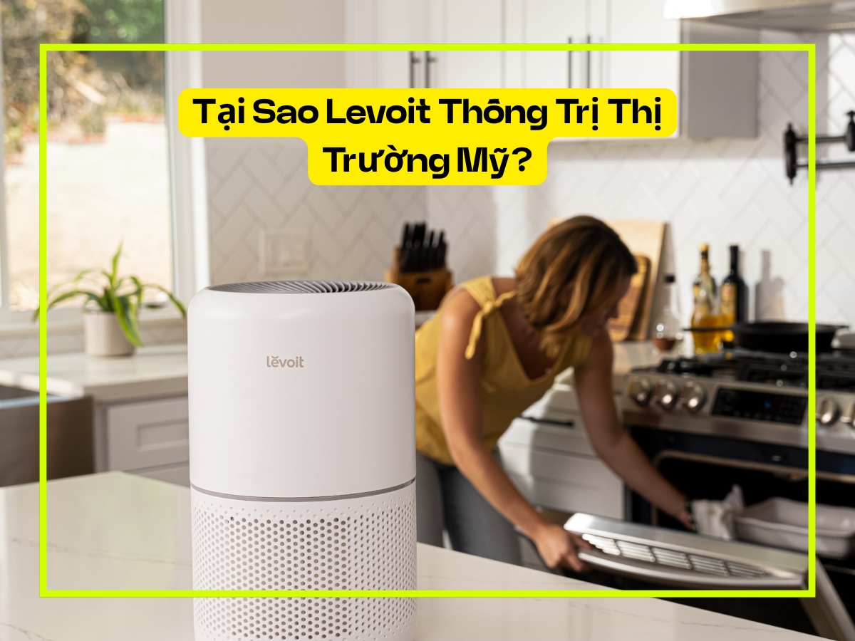 Lý do Levoit thống trị thị trường máy lọc không khí Mỹ