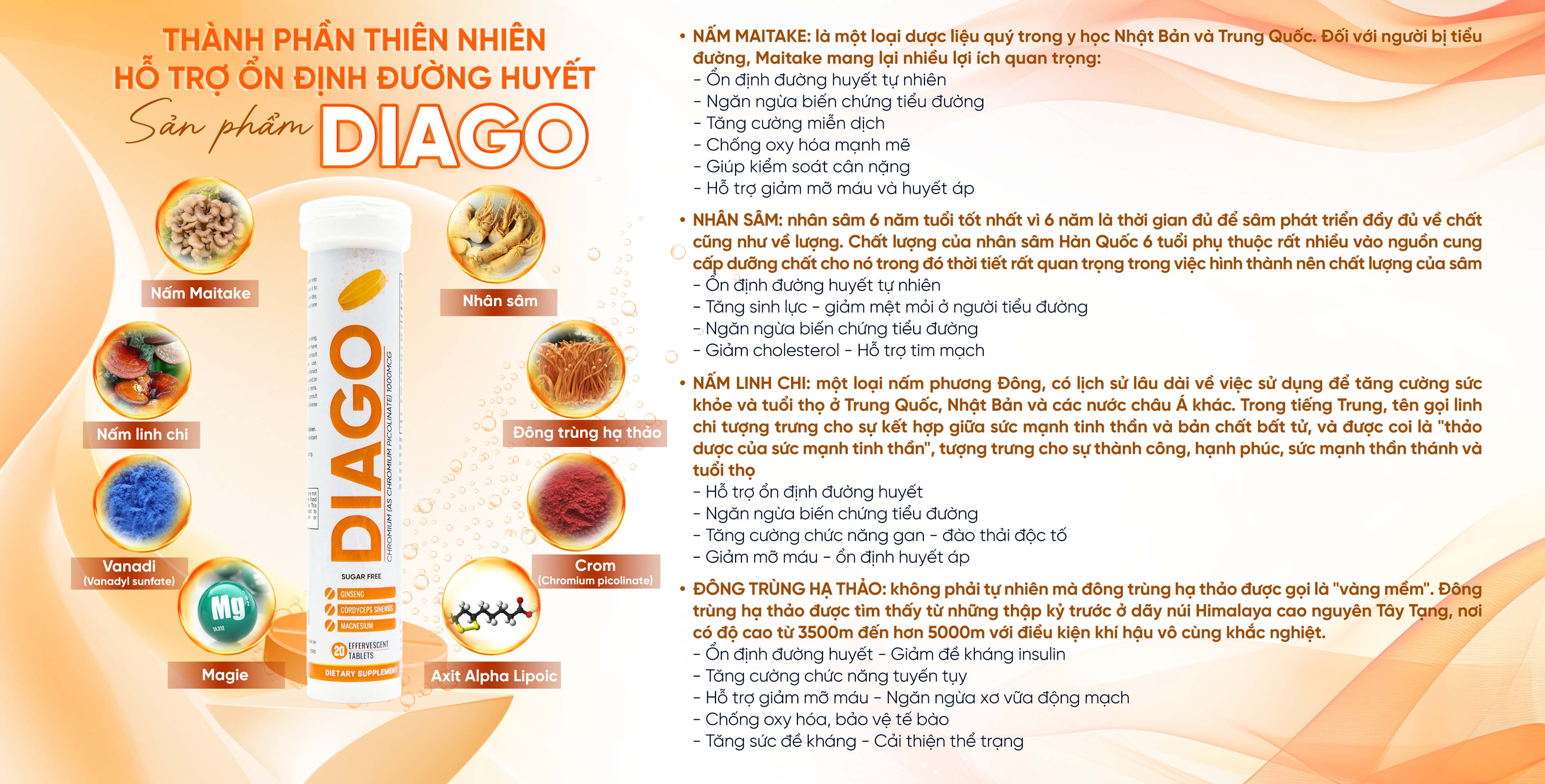 THÀNH PHẦN THIÊN NHIÊN<br/>HỖ TRỢ BẢO VỆ XƯƠNG KHỚP TOÀN DIỆN