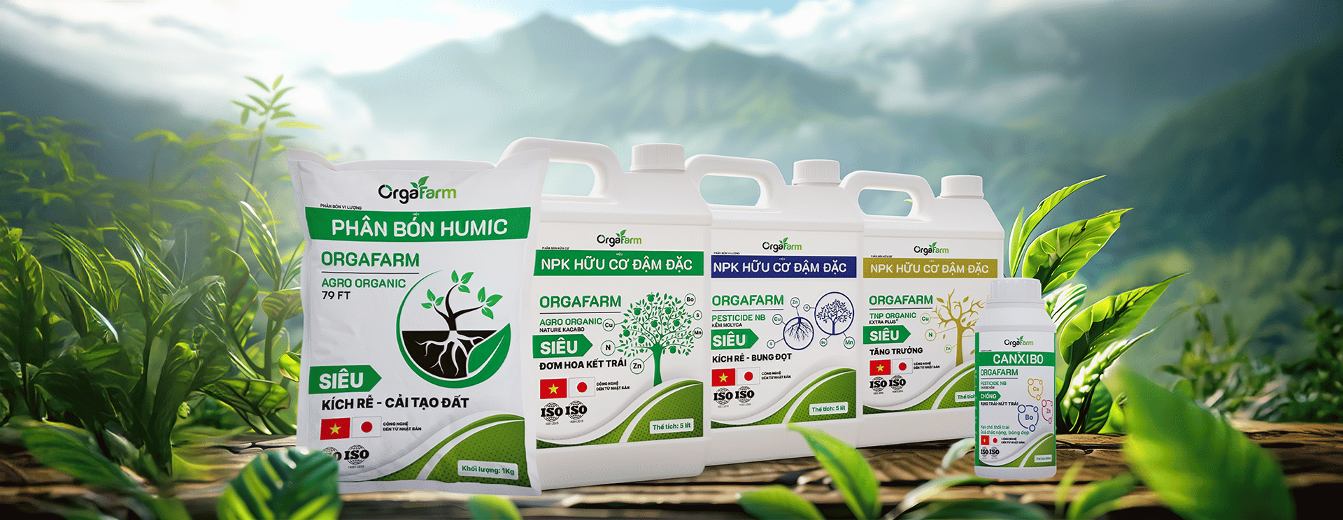 Giữ đất khỏe – nuôi cây bền, bí quyết thoát vòng luẩn quẩn phân thuốc