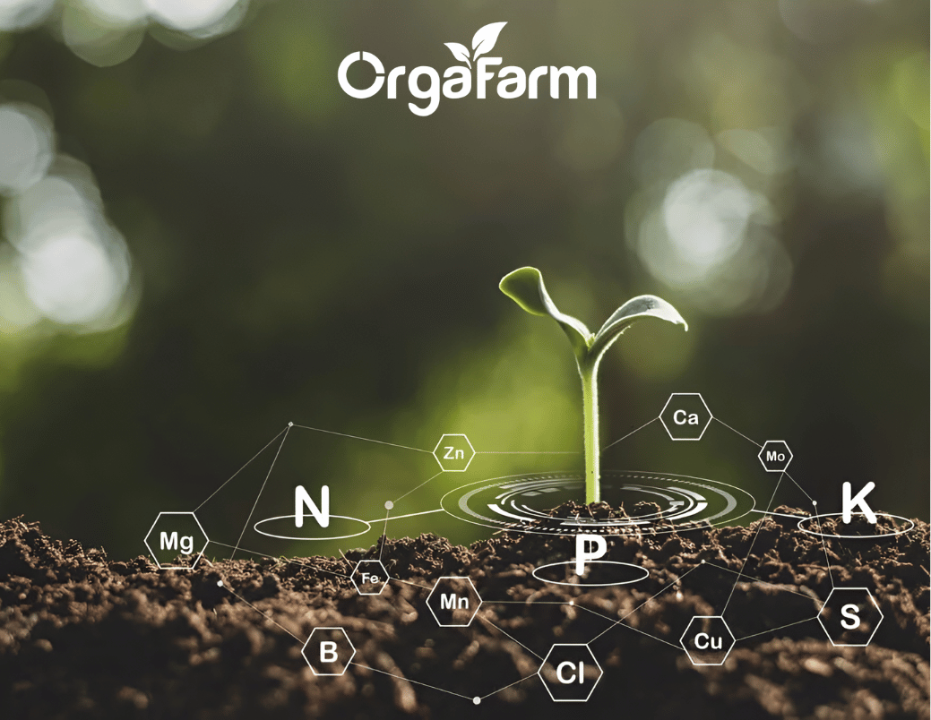 Câu chuyện thương hiệu 2