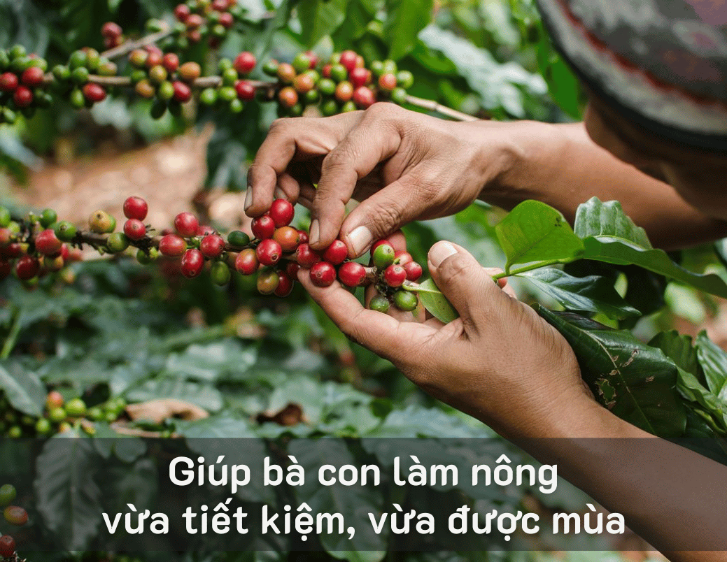 Câu chuyện thương hiệu 5