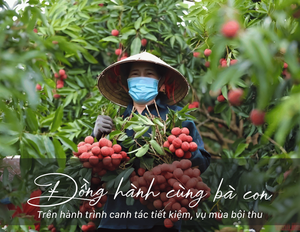 Câu chuyện thương hiệu 3