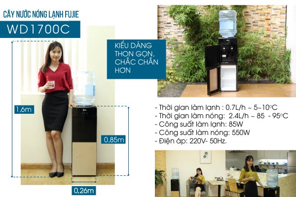 Cây nước nóng lạnh cao cấp 2 vòi FujiE WD1700C - hình 9