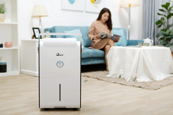 Máy hút ẩm dân dụng FujiE HM-930EC NEW VERSION