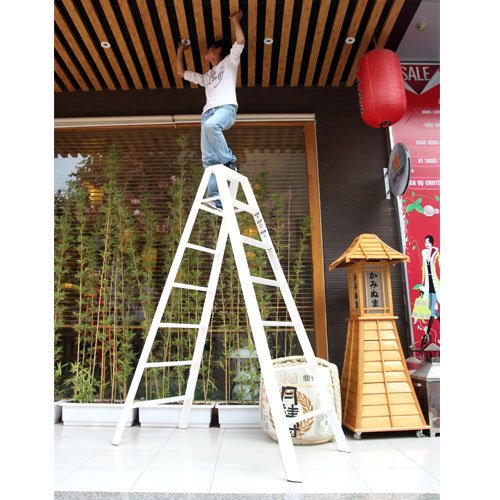 Thang nhôm ADVINDEQ AV307 (White) 14 bậc - hình 8