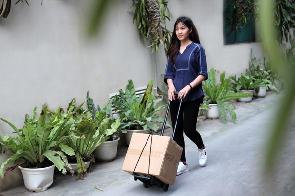Xe đẩy đi chợ gấp gọn đa năng ADVINDEQ HT-MINI01 - hình 5