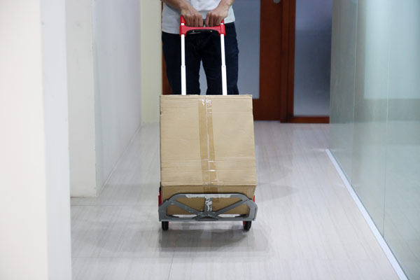 Xe đẩy hàng 2 bánh rút gọn ADVINDEQ TL-85E - hình 10