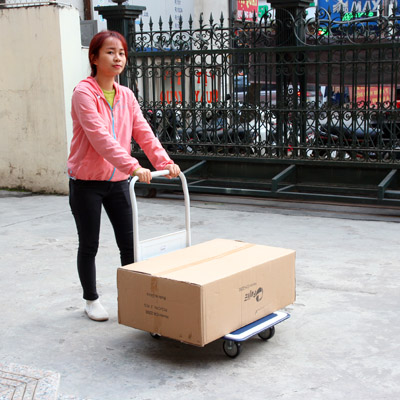Xe đẩy hàng chuyên dụng ADVINDEQ HD150 - hình 2