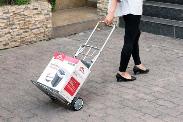 Xe Đẩy Hàng SFT-2809 - hình 5