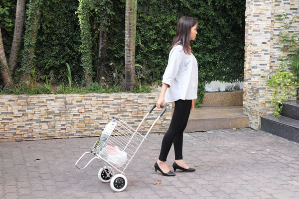 Xe kéo đi chợ đa năng ADVINDEQ TL-90C - hình 3