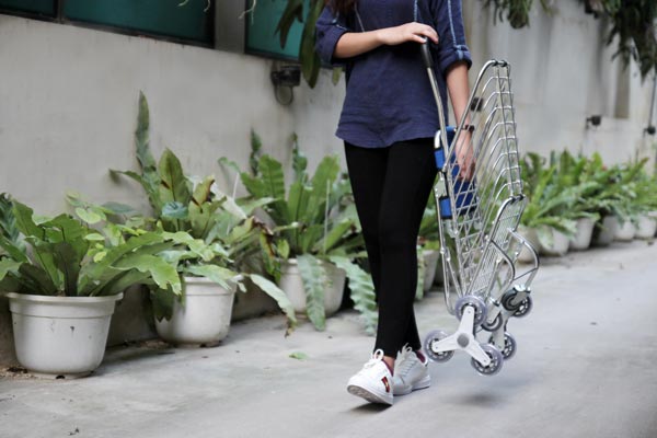 Xe kéo đi chợ, leo cầu thang ADVINDEQ TL-90CN - hình 13