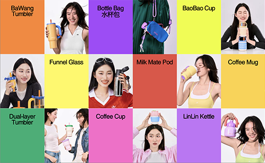 Fashionista phối gì