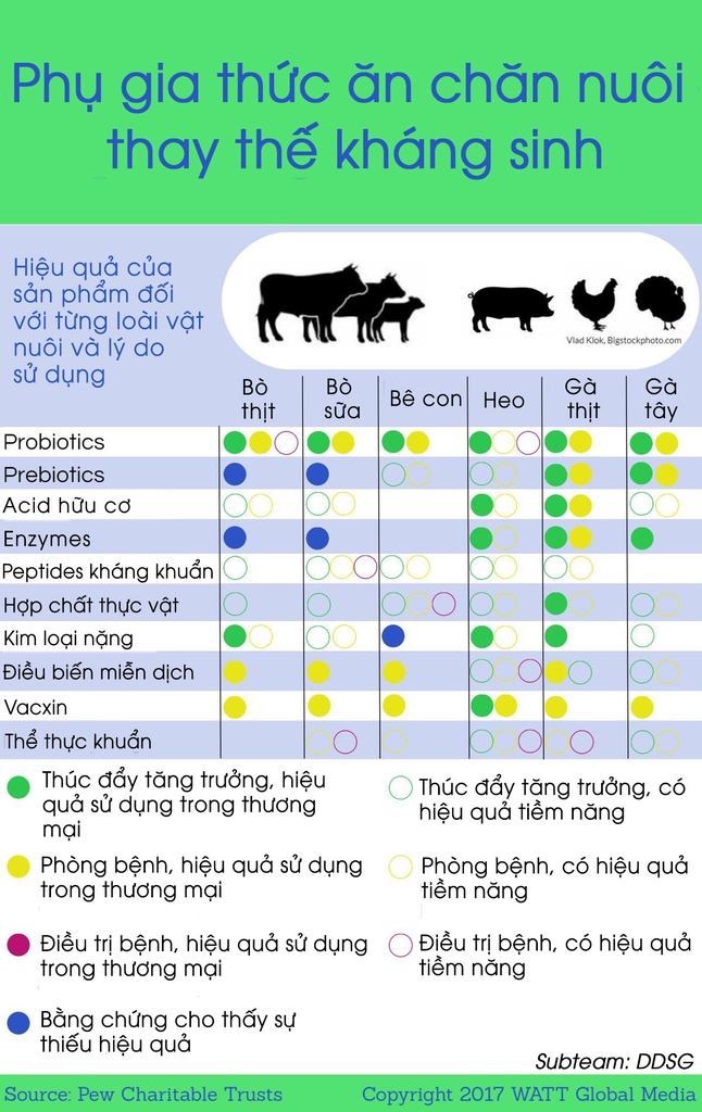 Phụ gia thức ăn chăn nuôi thay thế kháng sinh cho gia súc, gia cầm, thủy sản