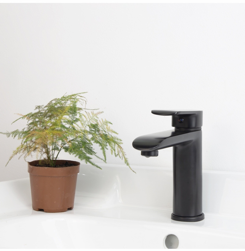 VÒI CHẬU RỬA MÀU ĐEN - RL61128 CLEANMAX