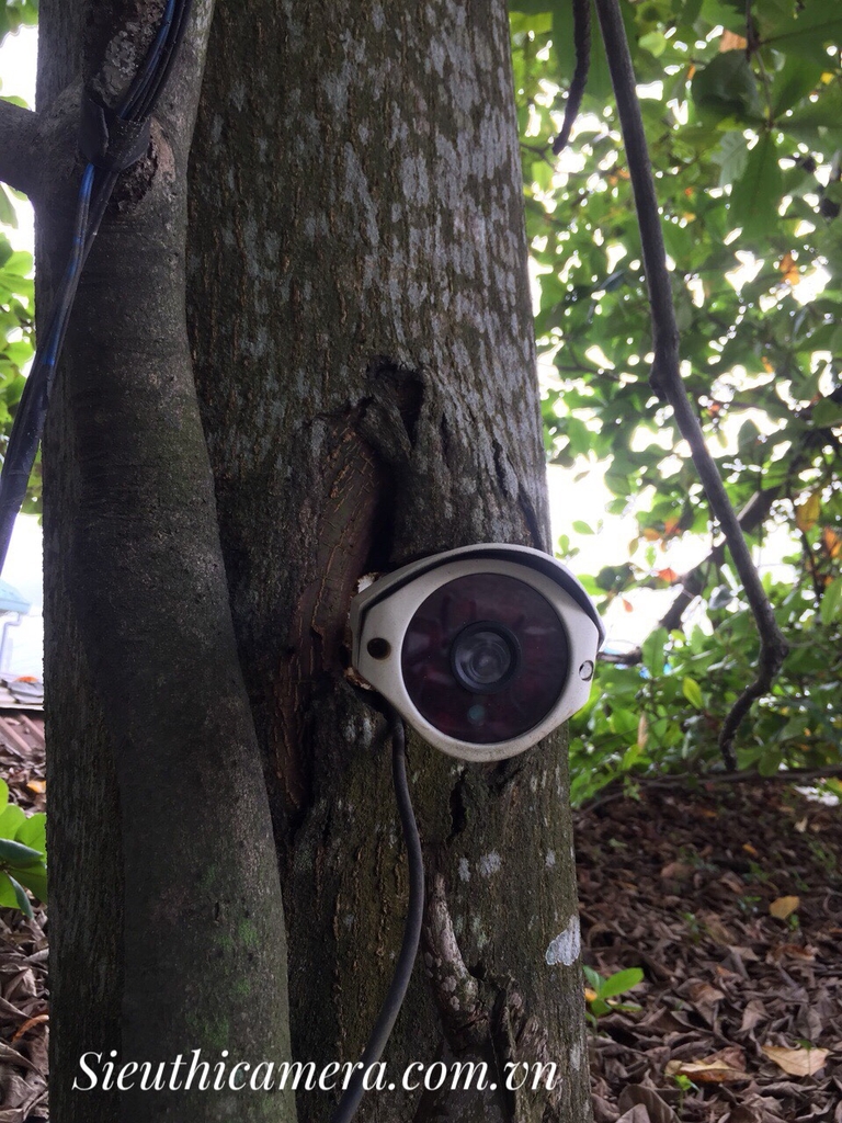 sieu-thi-camera-camera-nhat-japan-technology-thoi-dai-camera-3-0