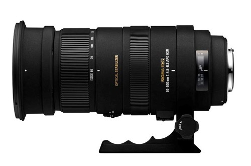 Sigma 50-500mm f/5-6.3 DG OS HSM APO for Nikon (Chính hãng)