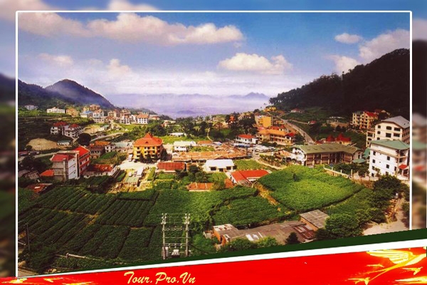 tour du lịch tam đảo