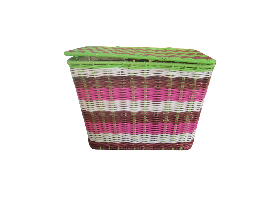 Giỏ xe nhựa PE (LTTB201)