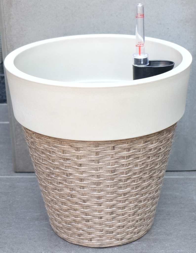 CHẬU TRỒNG CÂY THÔNG MINH - LTTC 46D
