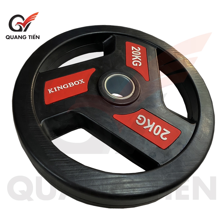 Bánh tạ đĩa chất liệu thép 20kg bọc cao su phi 50mm Kingbox-D