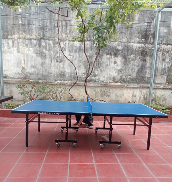Bàn bóng bàn ngoài trời TT-001