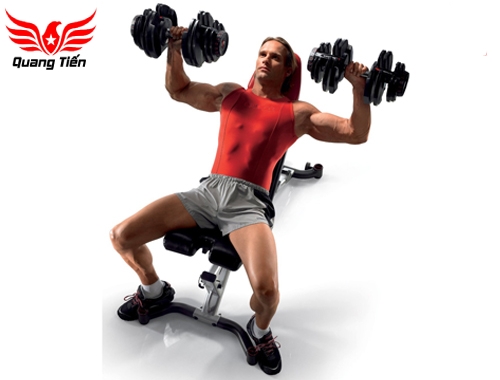 Ghế tập tạ Bowflex